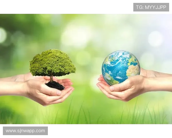 PG娱乐平台积极响应行业监管政策，推动绿色健康娱乐环境建设