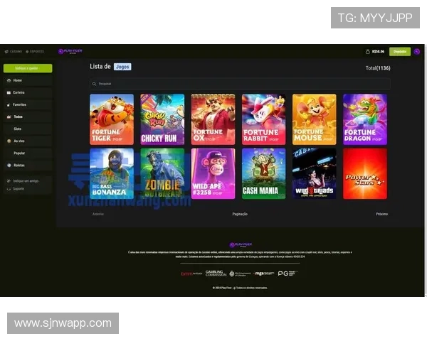 PG电子官网网页版安全保障措施加强确保玩家资金与信息安全无忧