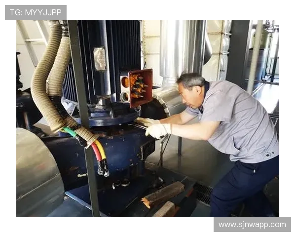 探索PG国际官方旗舰店提供的正版游戏周边产品与优质客户服务全方位解析