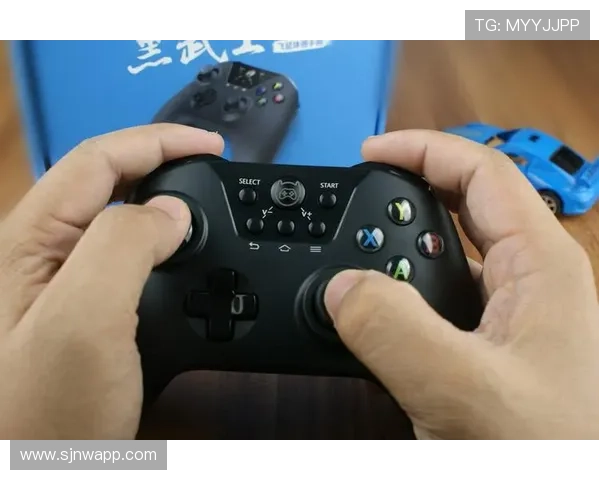 非凡PG官网入口官方入口安全登录攻略保障玩家账号安全顺畅进入游戏体验