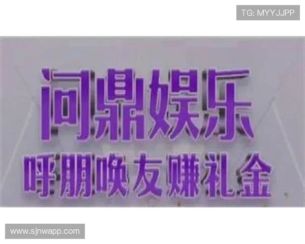 问鼎pg娱乐官方下载：官方版本与第三方版本的区别与选择建议